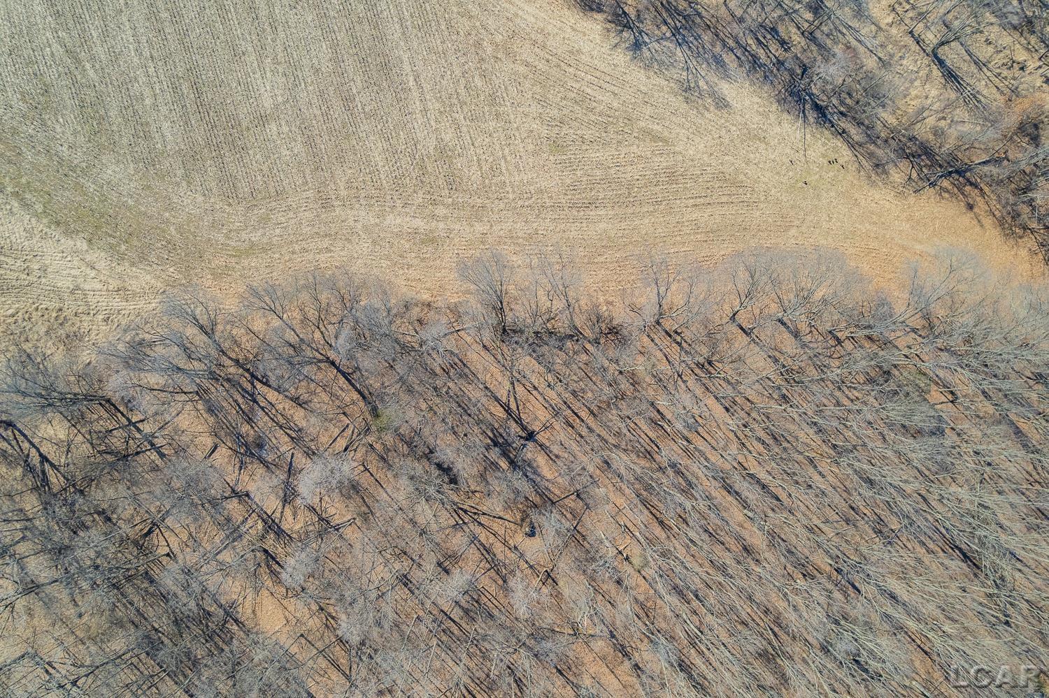 9550 Case Road Brooklyn, MI 49230 - Photo 23 of 34