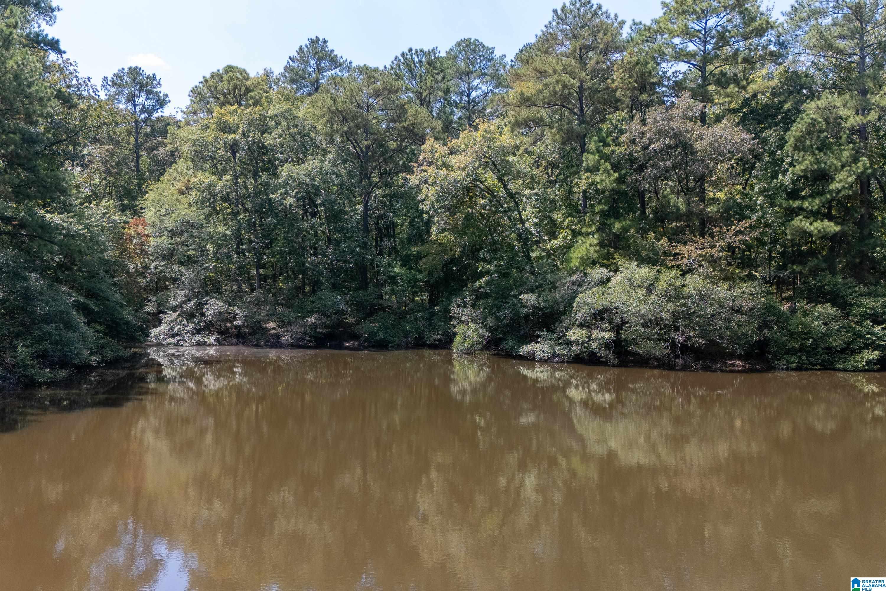 9215 Bear Creek Road Sterrett, AL 35147 - Photo 75 of 99