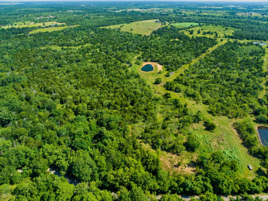 530 Chamberlin Road Dale, TX 78616 - Photo 2 of 10 a view of a bunch of trees in a field