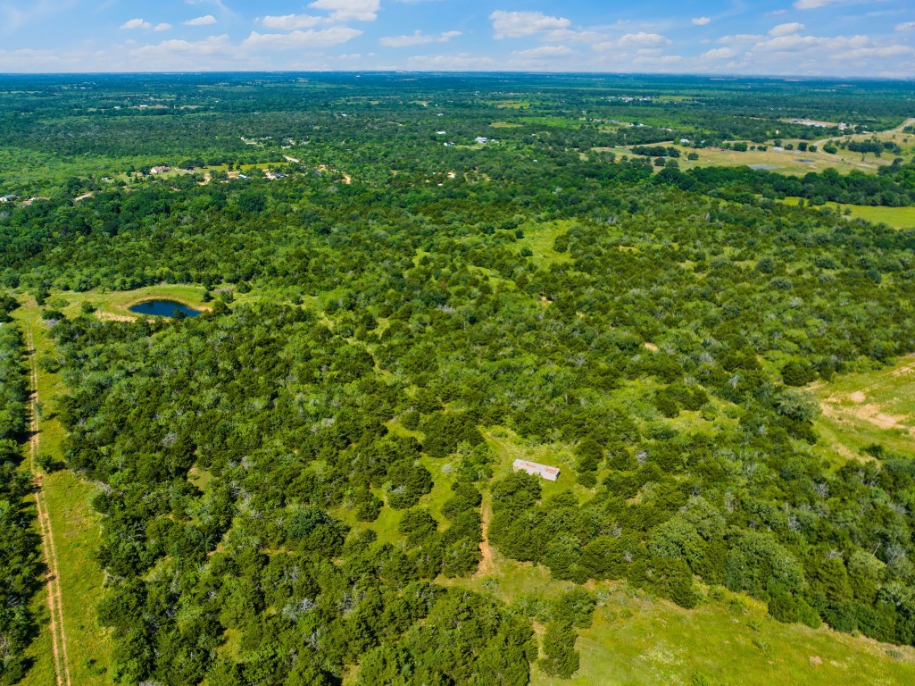 530 Chamberlin Road Dale, TX 78616 - Photo 5 of 10 a view of a green field with lots of bushes