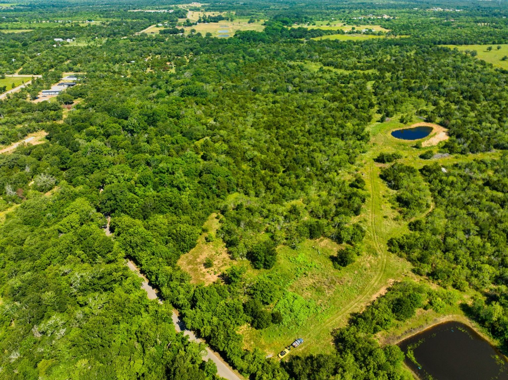 530 Chamberlin Road Dale, TX 78616 - Photo 6 of 10 a view of a big yard with plants and large trees