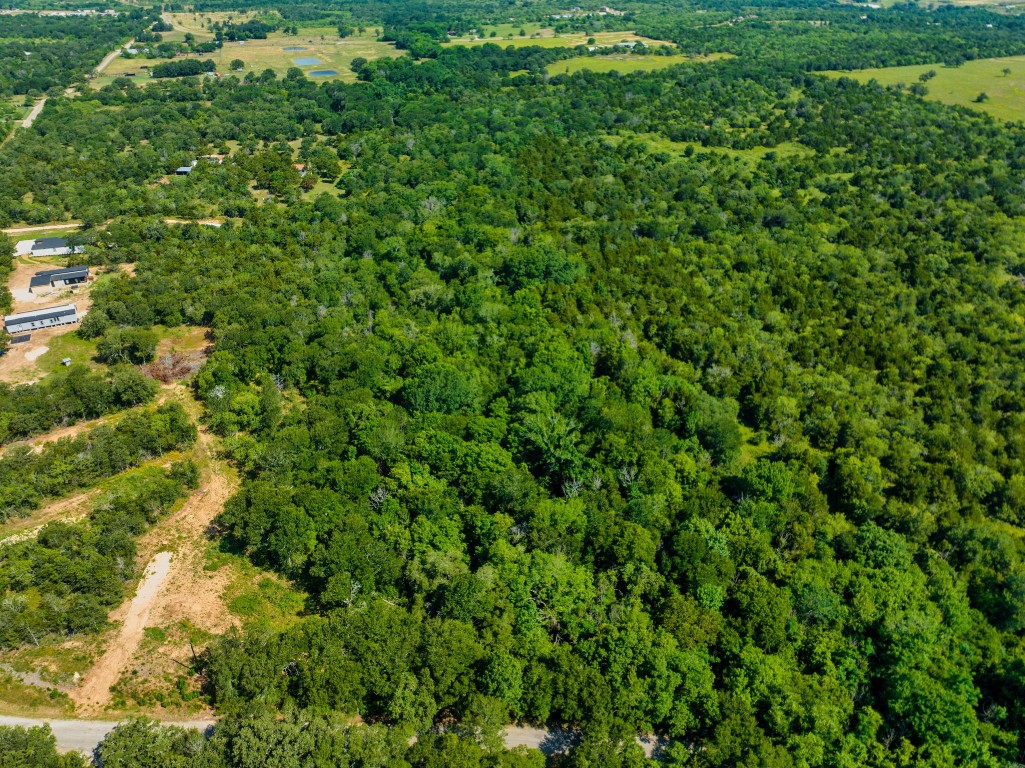 530 Chamberlin Road Dale, TX 78616 - Photo 7 of 10 a view of a lush green forest with lots of trees