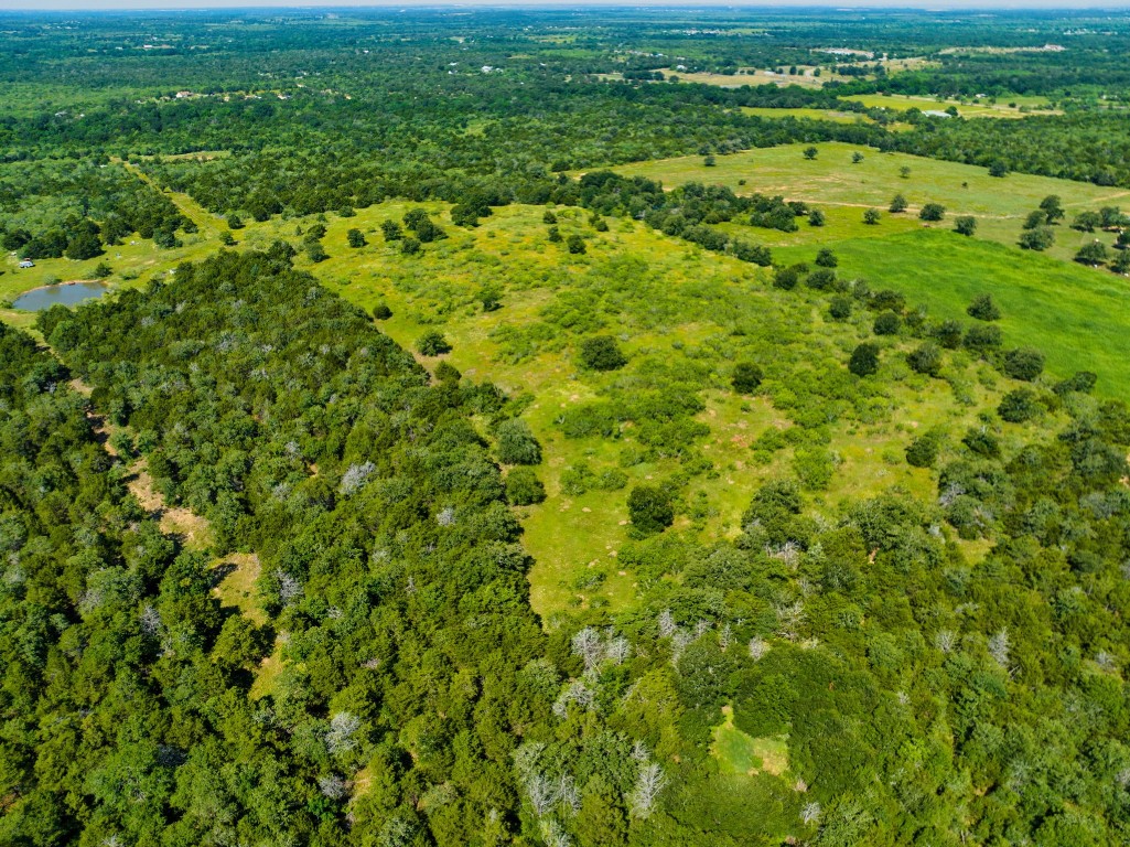 530 Chamberlin Road Dale, TX 78616 - Photo 8 of 10 a view of a big yard with plants and large trees