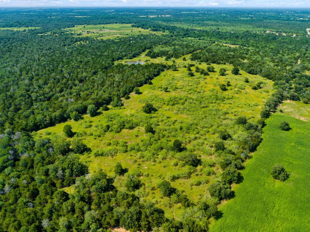 530 Chamberlin Road Dale, TX 78616 - Photo 9 of 10 a view of a lush green field with lots of trees in it