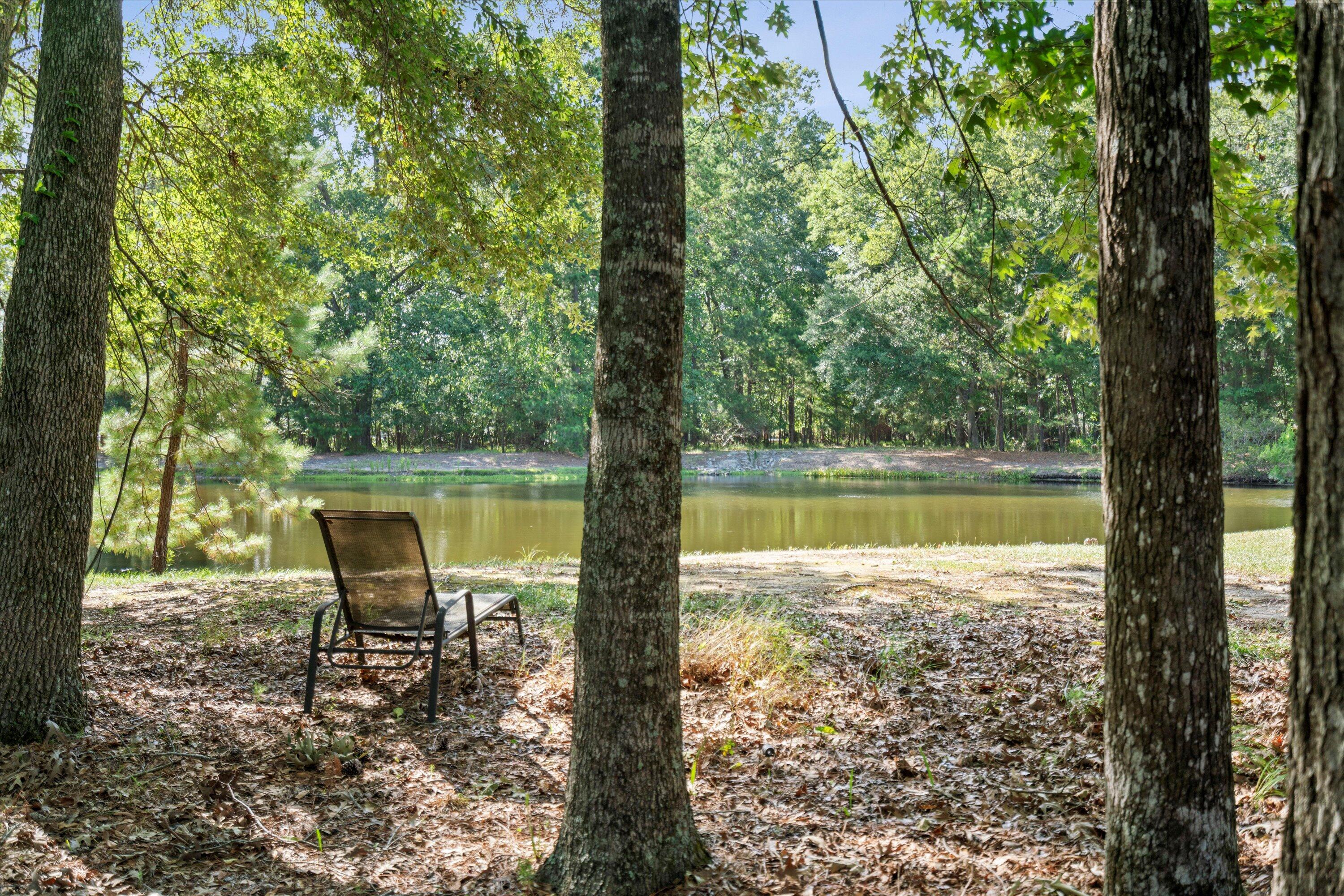 2217 Beckenham Drive Mount Pleasant, SC 29466 - Photo 63 of 95 074-SNY00114