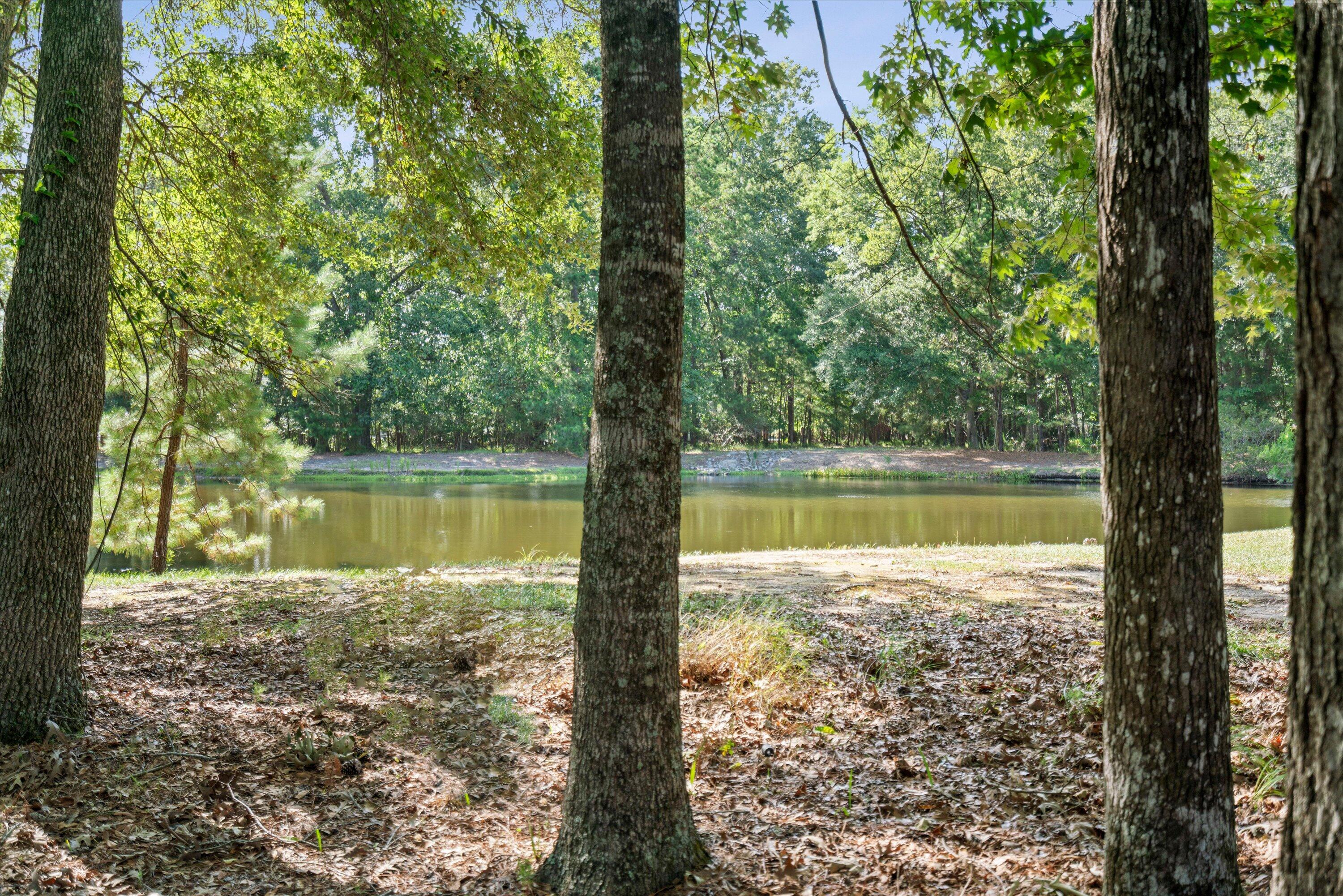 2217 Beckenham Drive Mount Pleasant, SC 29466 - Photo 64 of 95 075-SNY00114_1