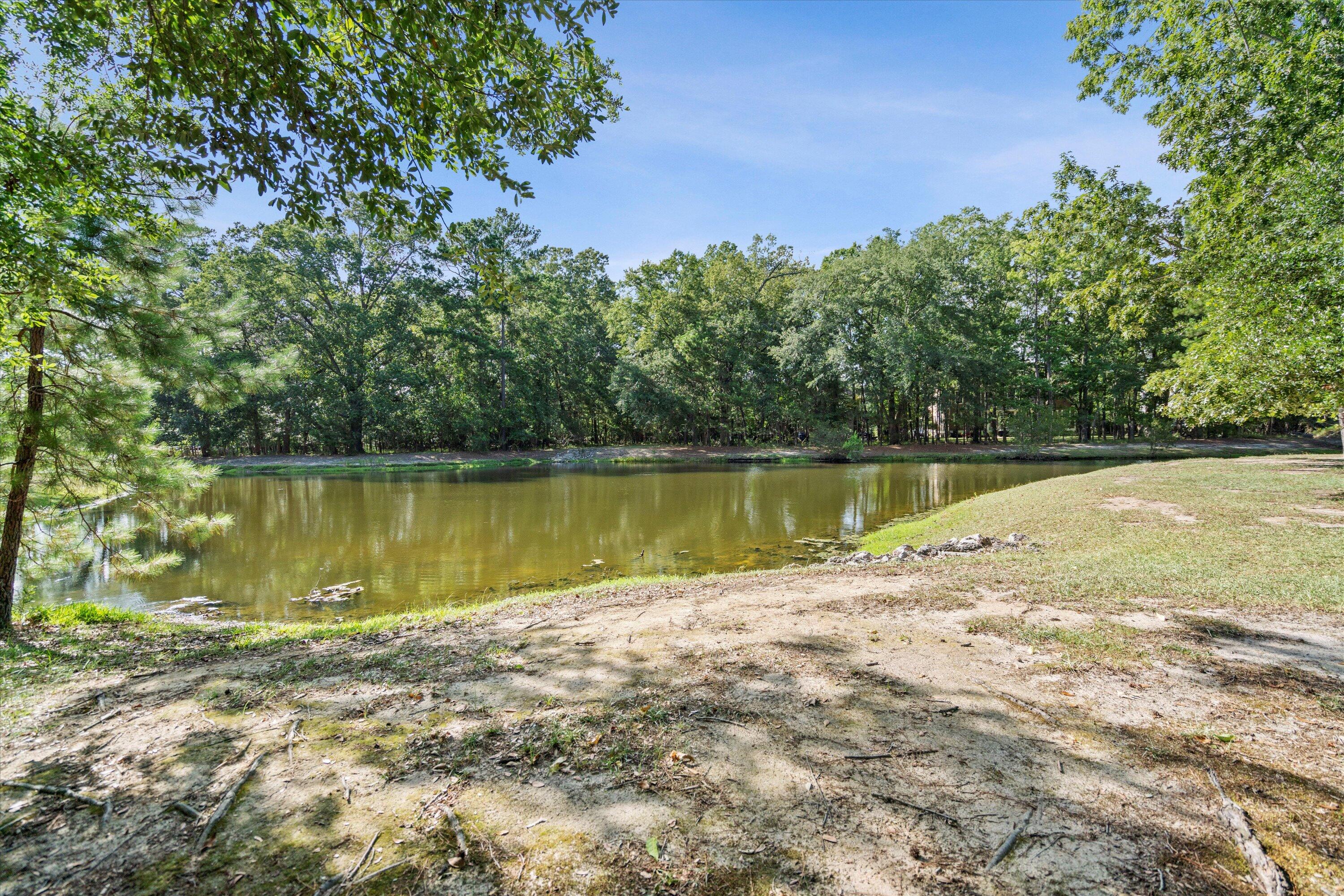 2217 Beckenham Drive Mount Pleasant, SC 29466 - Photo 65 of 95 076-SNY00117
