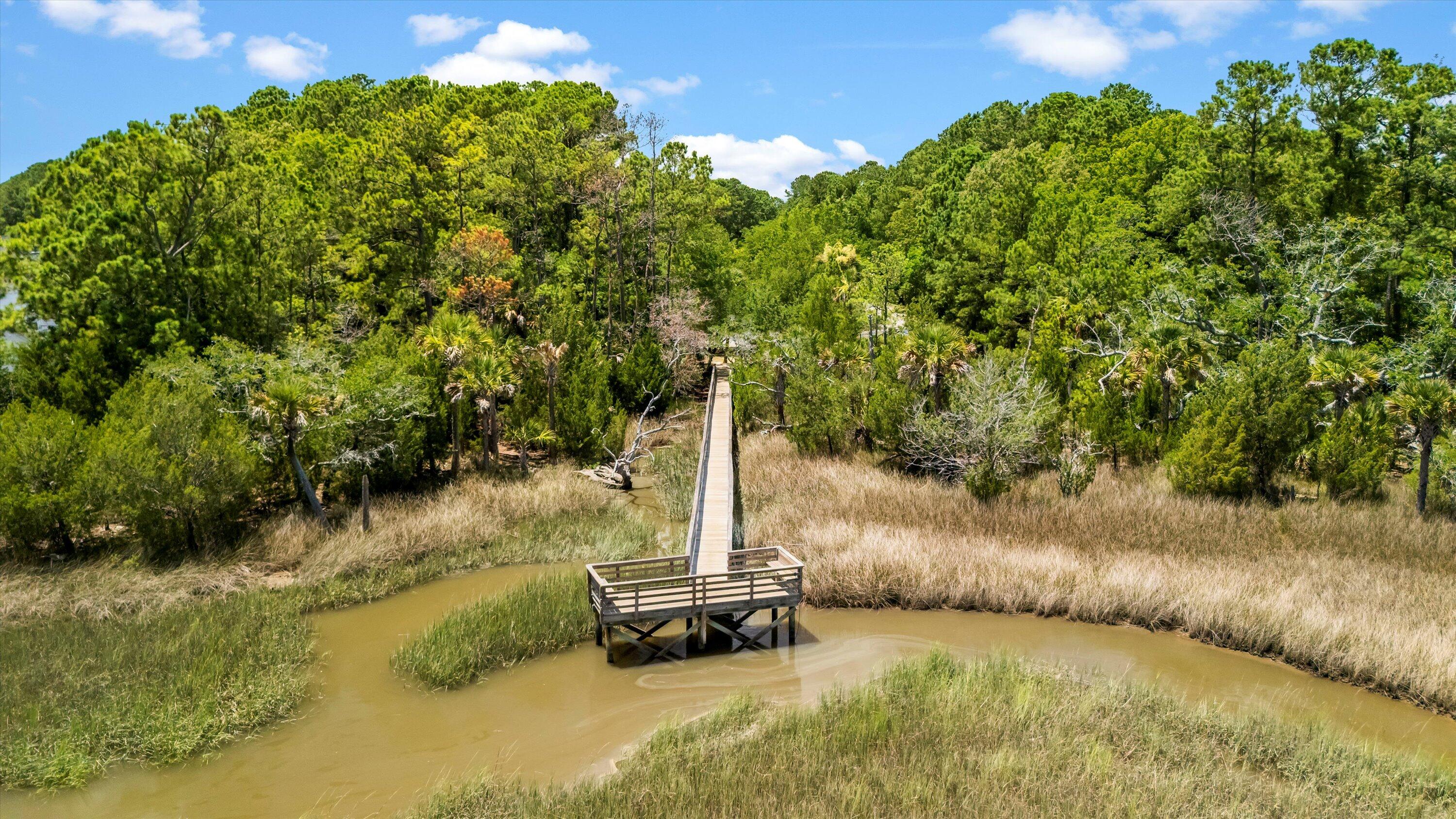 2217 Beckenham Drive Mount Pleasant, SC 29466 - Photo 84 of 95 096-DJI_20250702135750_0037_D