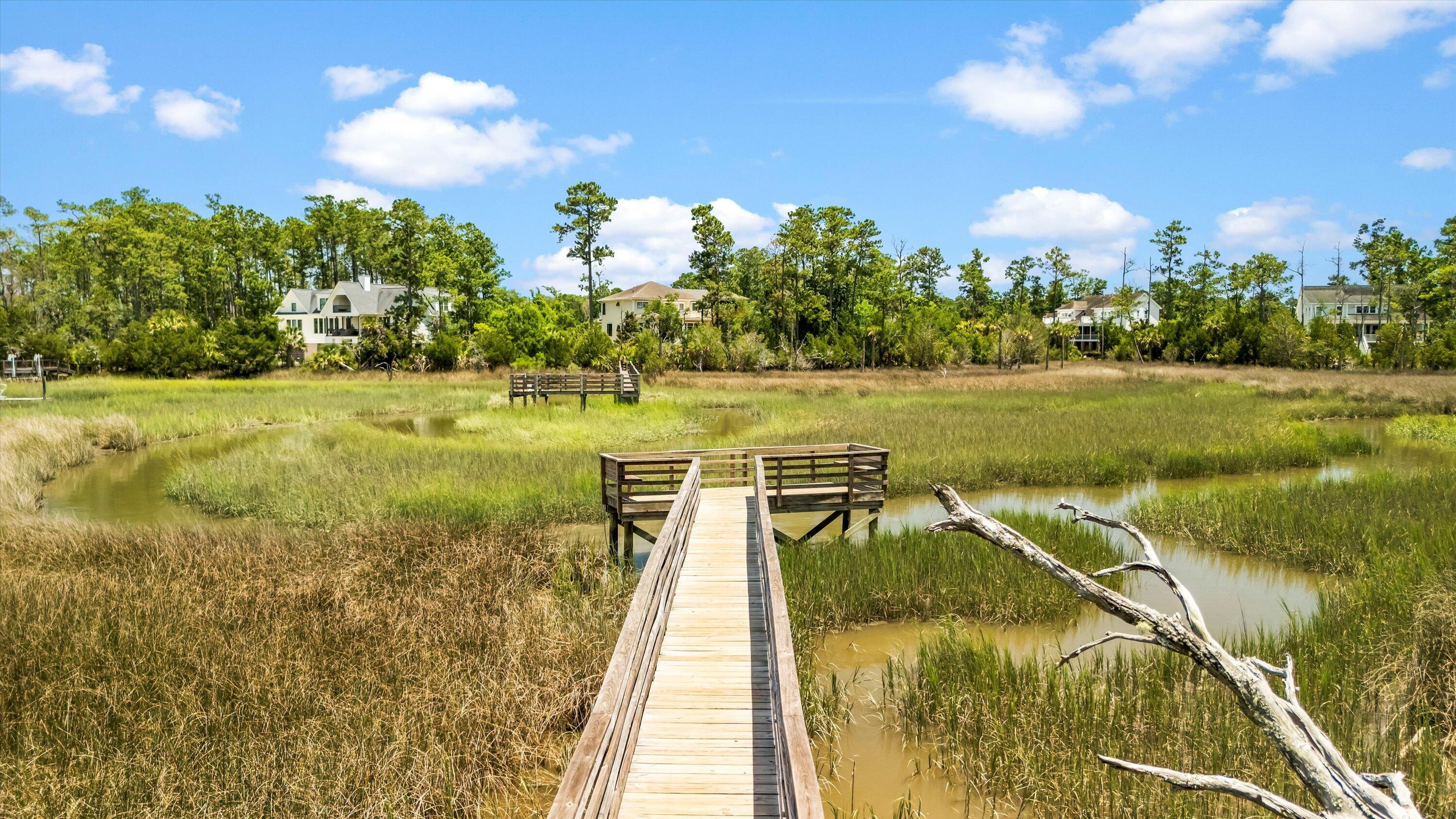 2217 Beckenham Drive Mount Pleasant, SC 29466 - Photo 90 of 95 102-DJI_20250702135927_0043_D