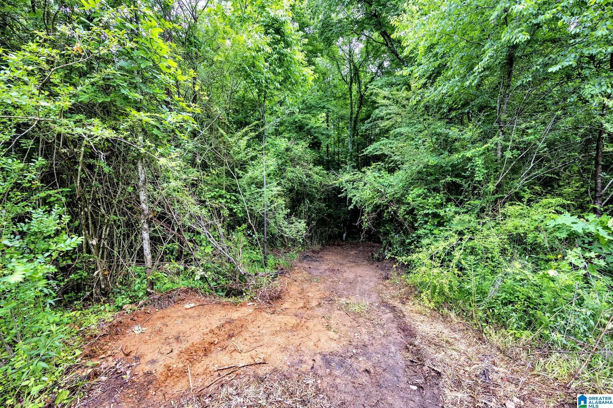 530 Mt Road Blountsville, AL 35031 - Photo 2 of 18
