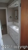 7600 Back Acres Road Amarillo, TX 79119 - Photo 8 of 10 Hall Bathroom