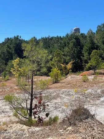 a view of a yard with a tree