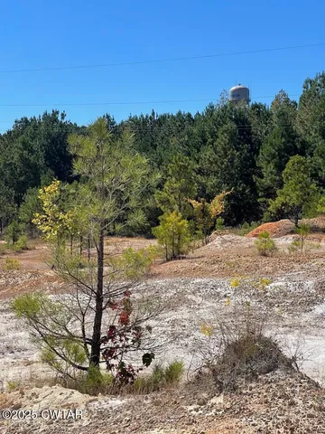 a view of a yard with a tree