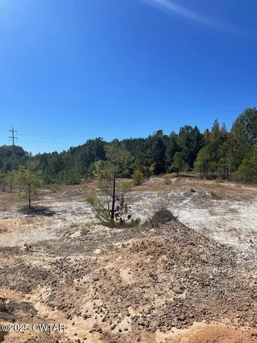 a view of a dry yard with trees