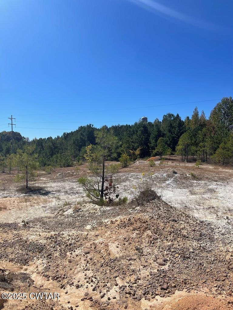 0 Veterans Drive Huntingdon, TN 38344 - Photo 4 of 6 a view of a dry yard with trees