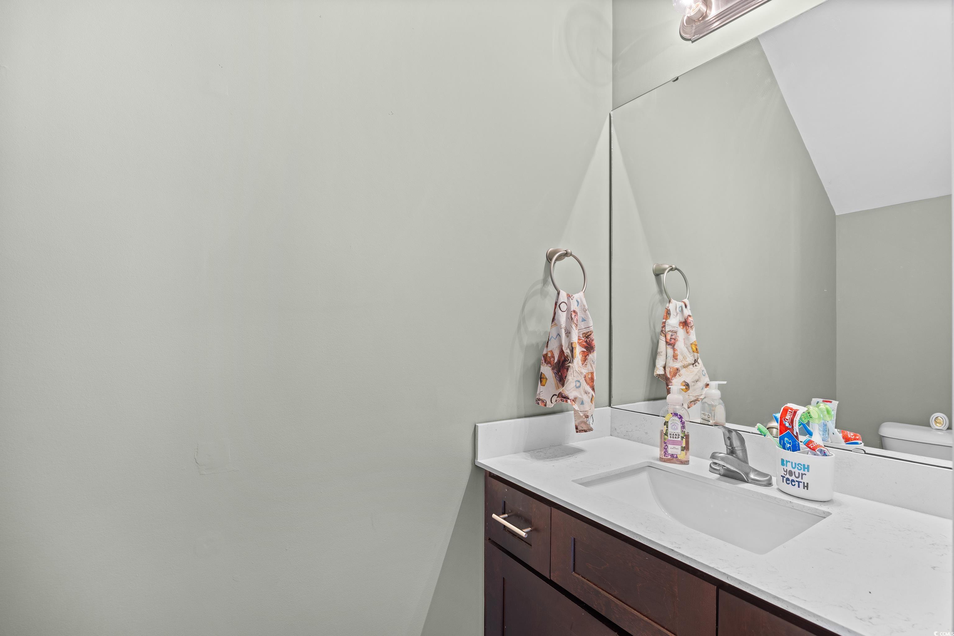 704 Hobonny Loop Longs, SC 29568 - Photo 15 of 36 Bathroom featuring vanity and toilet