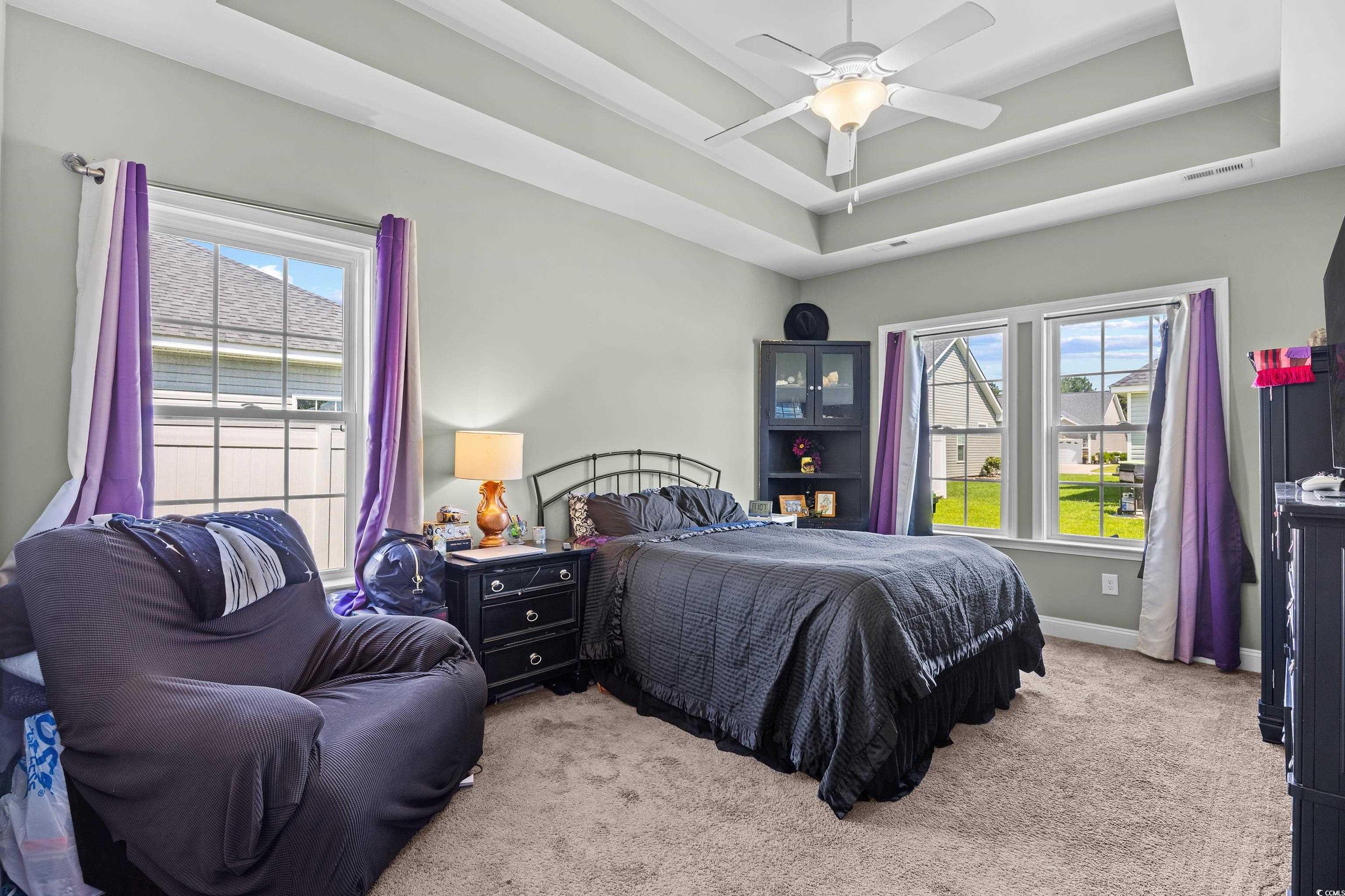 704 Hobonny Loop Longs, SC 29568 - Photo 18 of 36 Carpeted bedroom featuring multiple windows, a tra