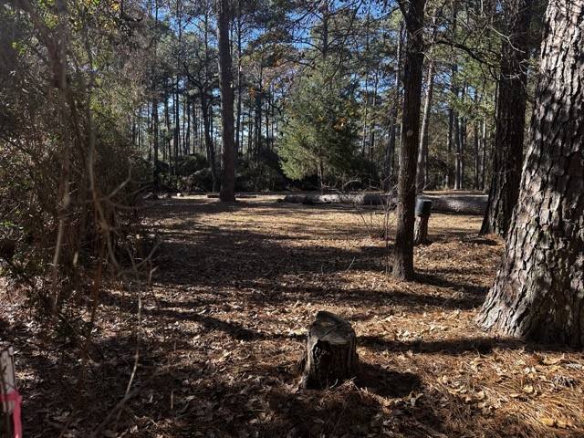 Tbd Lot 41 Tbd Lane Hempstead, TX 77445 - Photo 2 of 6 a view of a backyard of the house
