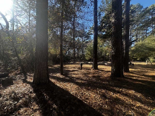 Tbd Lot 41 Tbd Lane Hempstead, TX 77445 - Photo 3 of 6 a view of a yard with trees