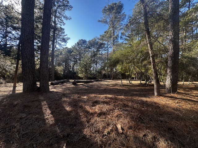Tbd Lot 41 Tbd Lane Hempstead, TX 77445 - Photo 6 of 6 a view of road with trees