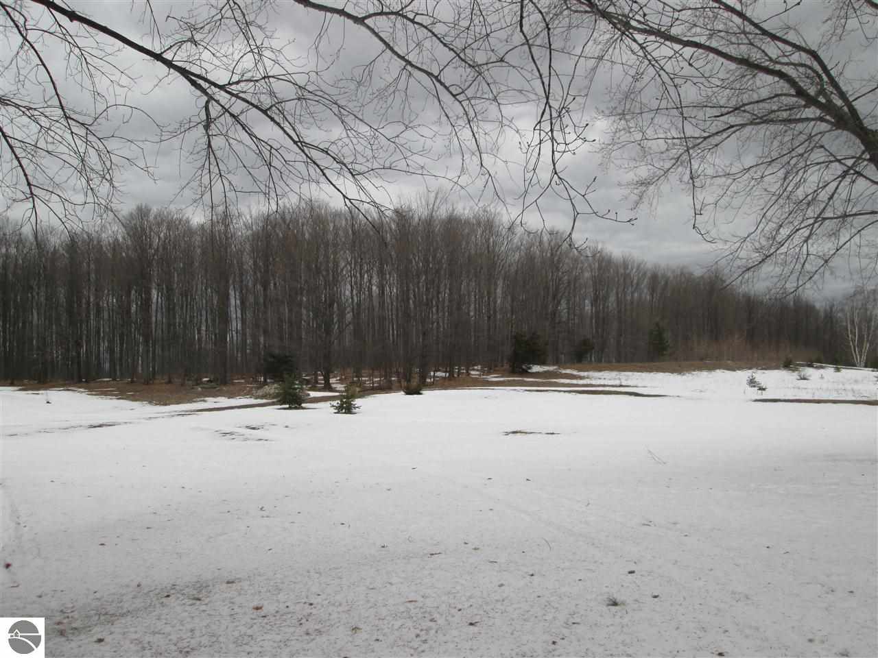 9587 Innis Road Northeast Alden, MI 49612 - Photo 58 of 67 1801536-57.JPG