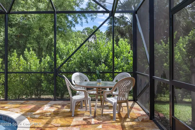a tall tree in middle of green field