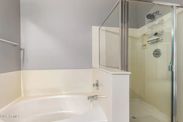 a bathroom with a bathtub and a shower