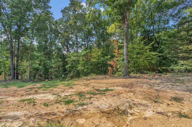 a view of a yard with trees