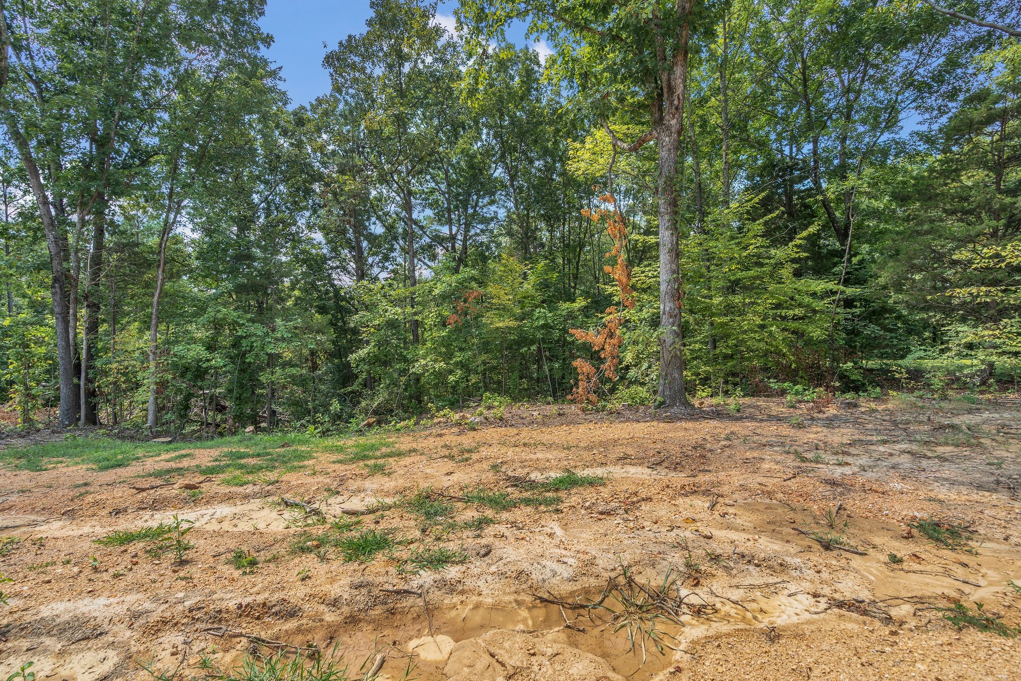 351 Wismer Road Camden, TN 38320 - Photo 24 of 27 a view of a yard with trees