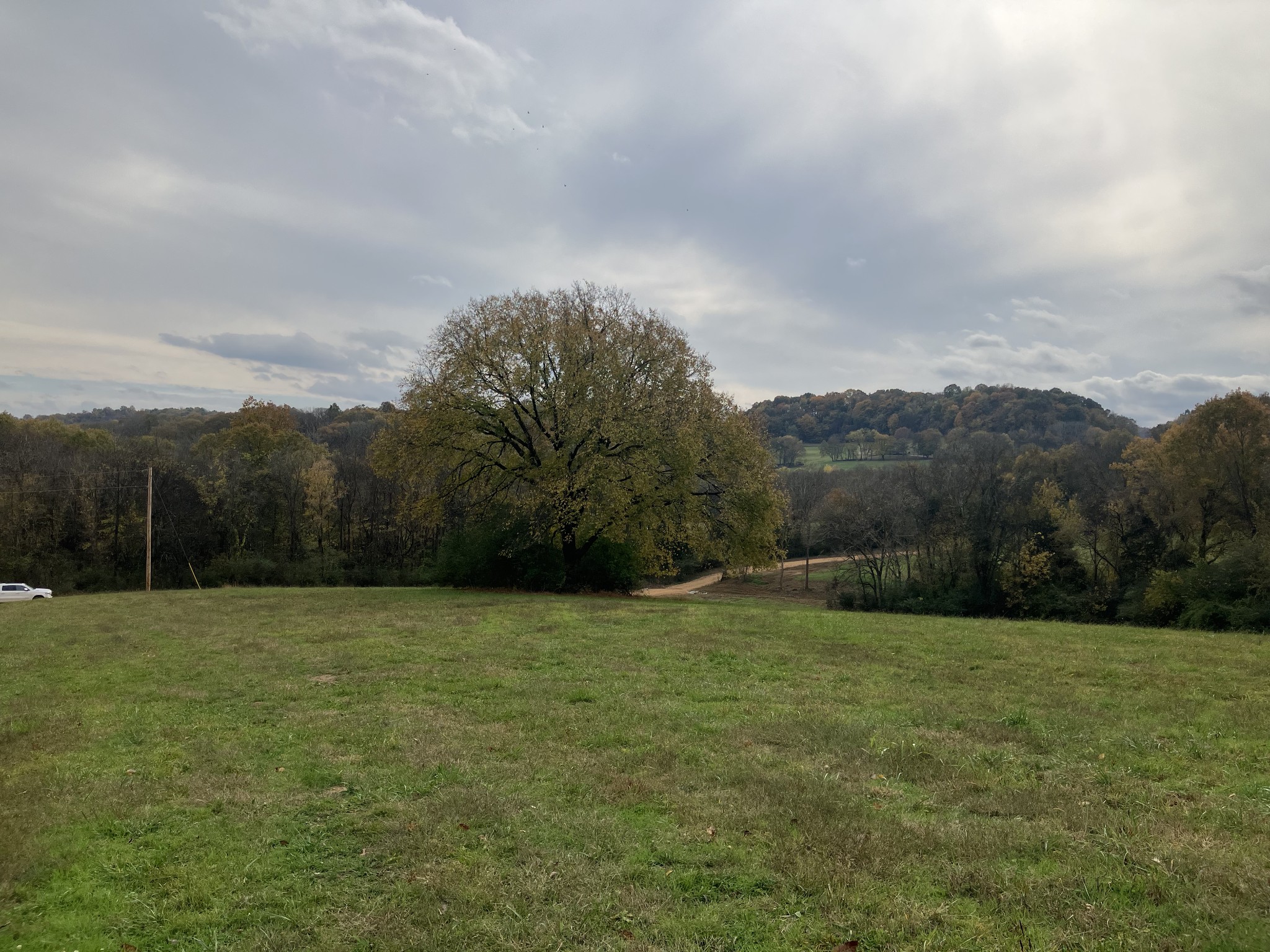 a view of a grassy field