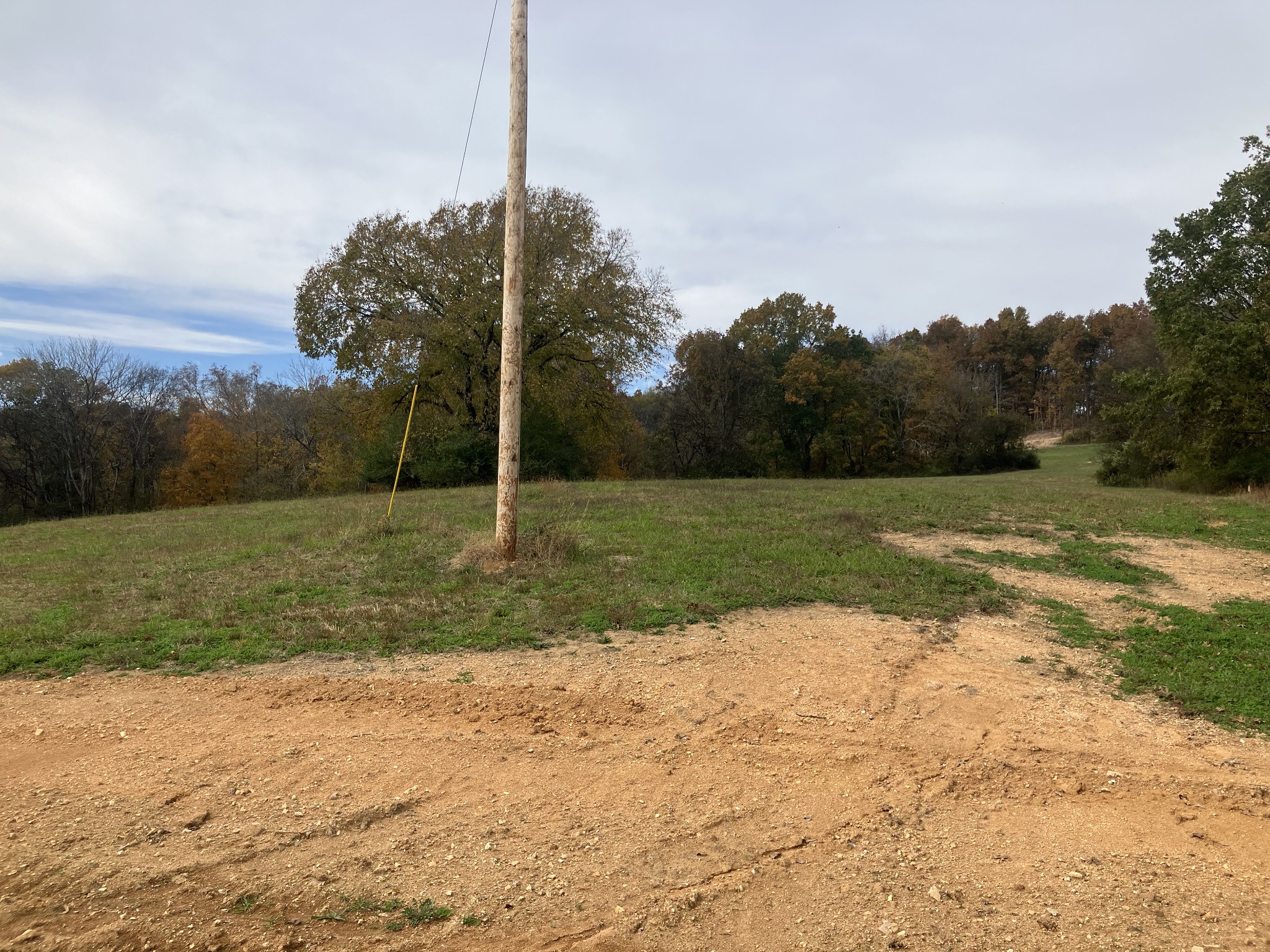 7 Booker Ridge Road Mount Pleasant, TN 38474 - Photo 4 of 6 a view of a field with a tree in the background