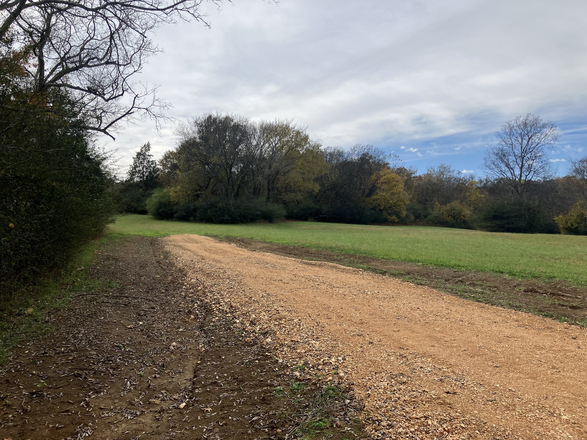 7 Booker Ridge Road Mount Pleasant, TN 38474 - Photo 6 of 6 a view of a field with a trees in the background
