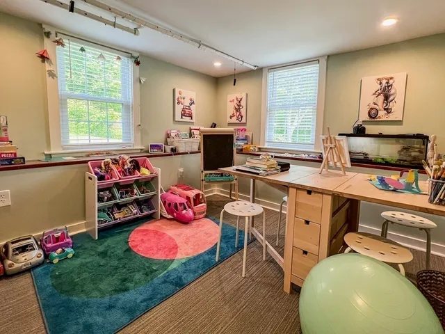 a room with furniture a rug potted plant windows and a couch