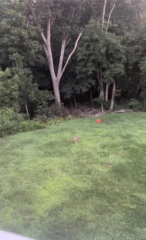 $5,000 | 205-209 Sohier Street, Cohasset, MA 02025