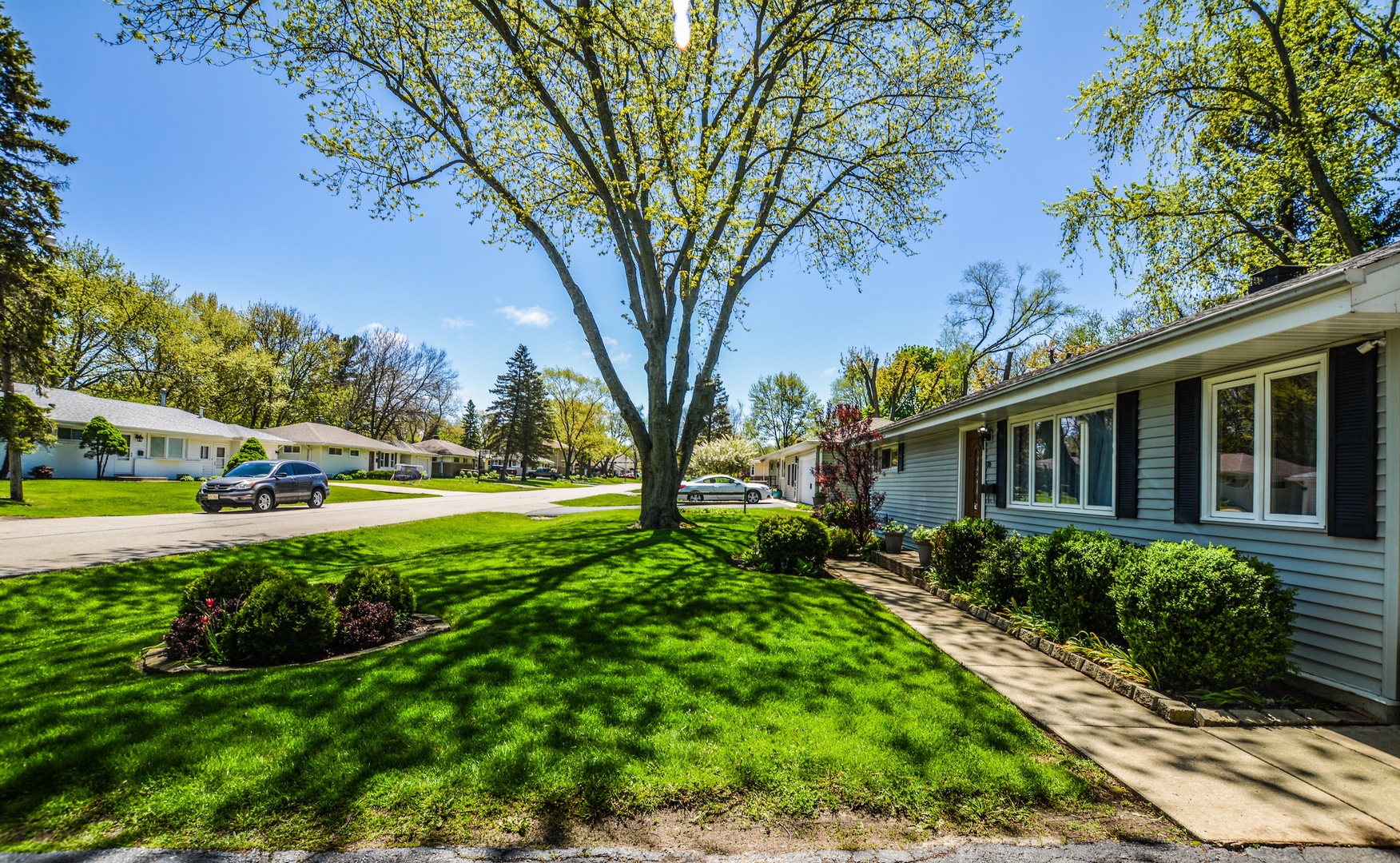 36 Johnathan Road Lake Zurich, IL 60047 - Photo 10 of 25 a view of a yard with plants and large trees