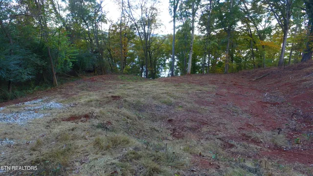 $350,000 | 173 Cedar Grove Street, Loudon, TN 37774