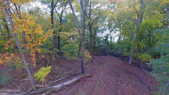 $350,000 | 173 Cedar Grove Street, Loudon, TN 37774