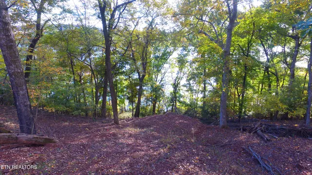 $350,000 | 173 Cedar Grove Street, Loudon, TN 37774