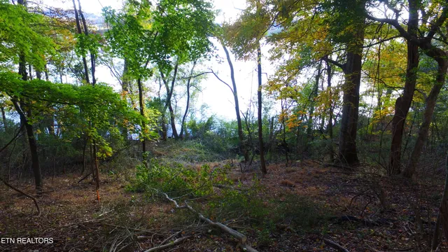 $350,000 | 173 Cedar Grove Street, Loudon, TN 37774