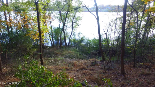 $350,000 | 173 Cedar Grove Street, Loudon, TN 37774