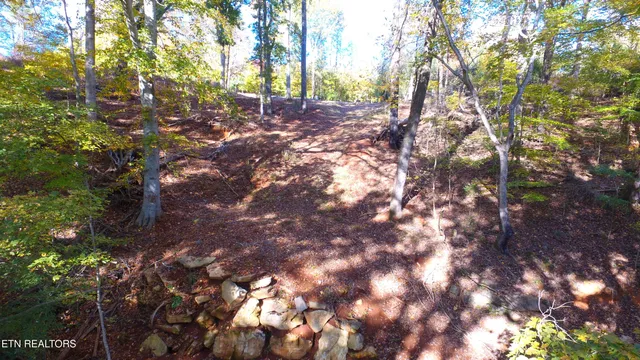 $350,000 | 173 Cedar Grove Street, Loudon, TN 37774