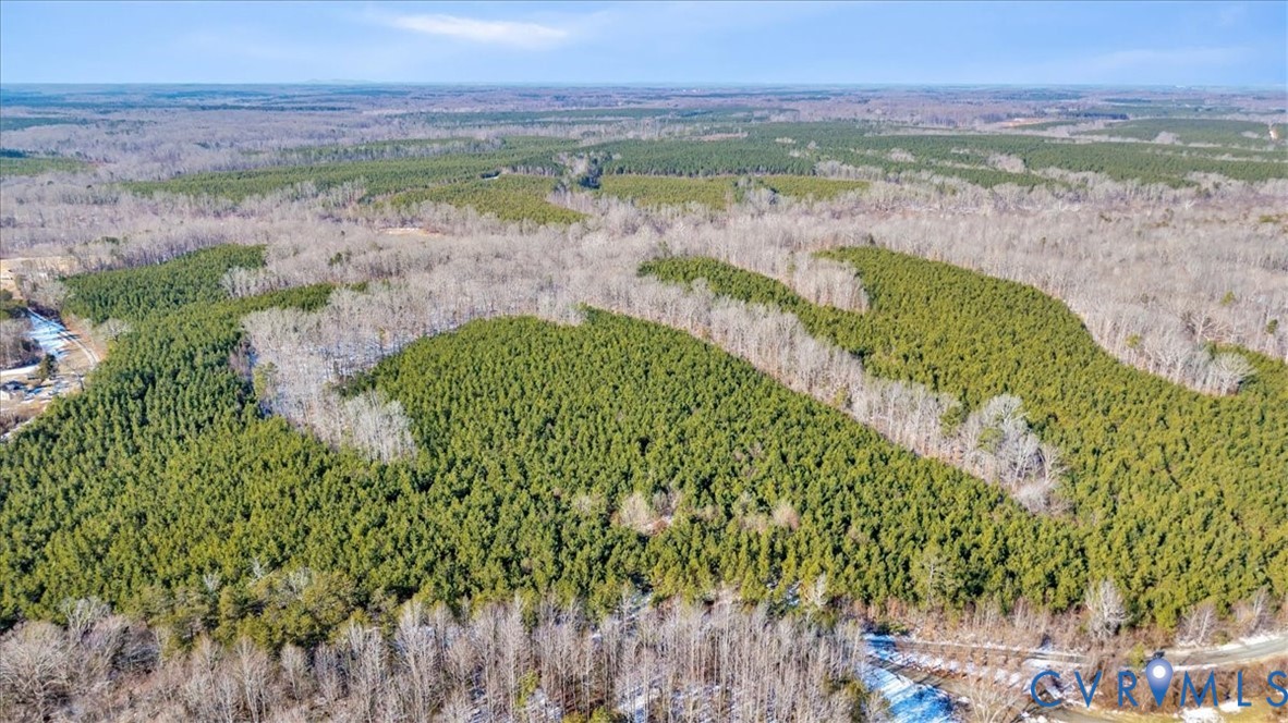 0 Miles Road Powhatan, VA 23139 - Photo 1 of 15 a view of a lake with a mountain in the background