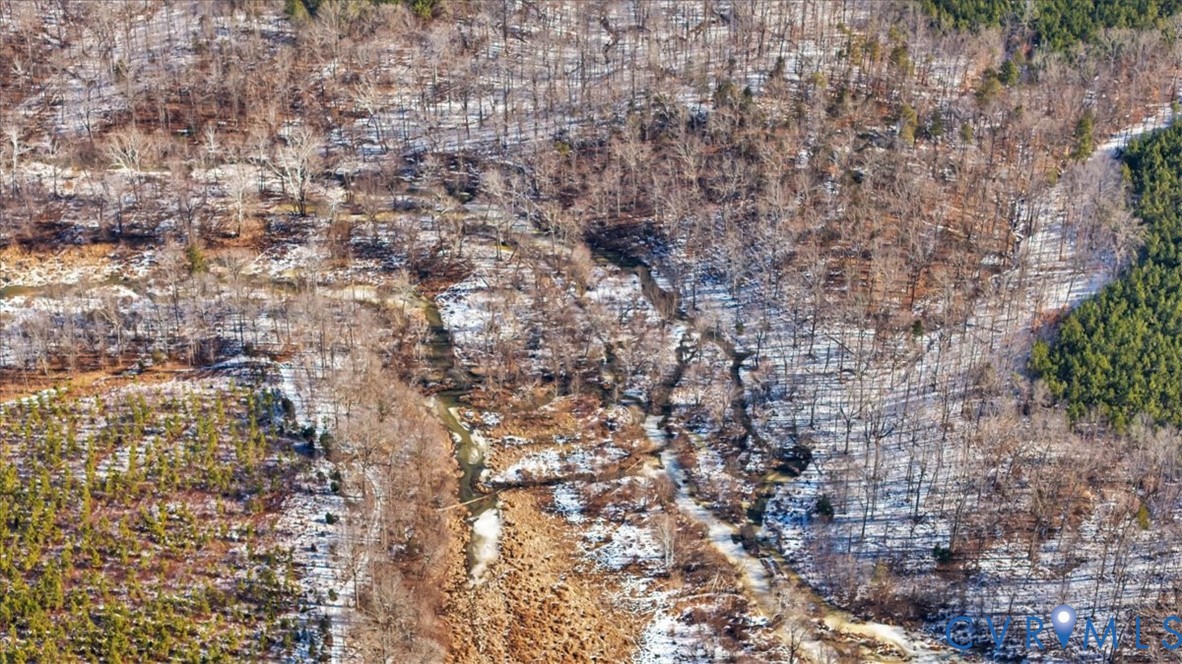 0 Miles Road Powhatan, VA 23139 - Photo 13 of 15 a close up of a tall trees