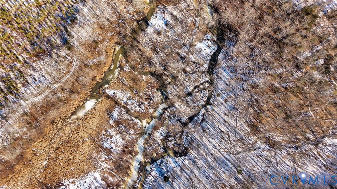 0 Miles Road Powhatan, VA 23139 - Photo 14 of 15 a close up of a tree