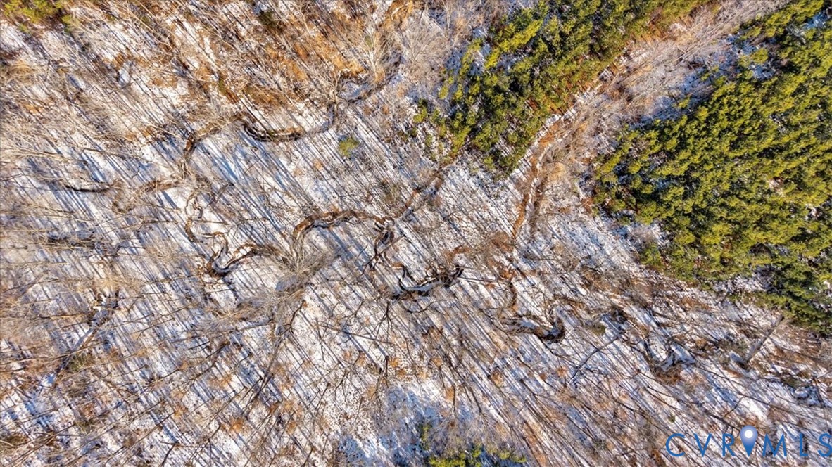 0 Miles Road Powhatan, VA 23139 - Photo 15 of 15 a picture of tree