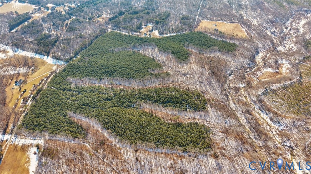 0 Miles Road Powhatan, VA 23139 - Photo 7 of 15 a view of a garden