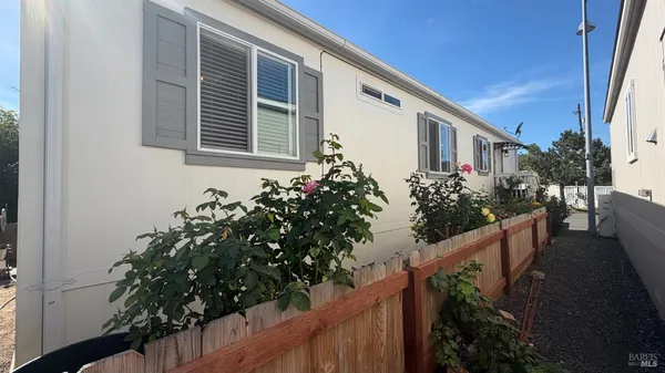 a flower plants in front of a house