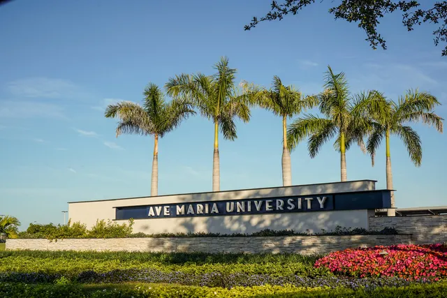 a view of a street with a flower garden
