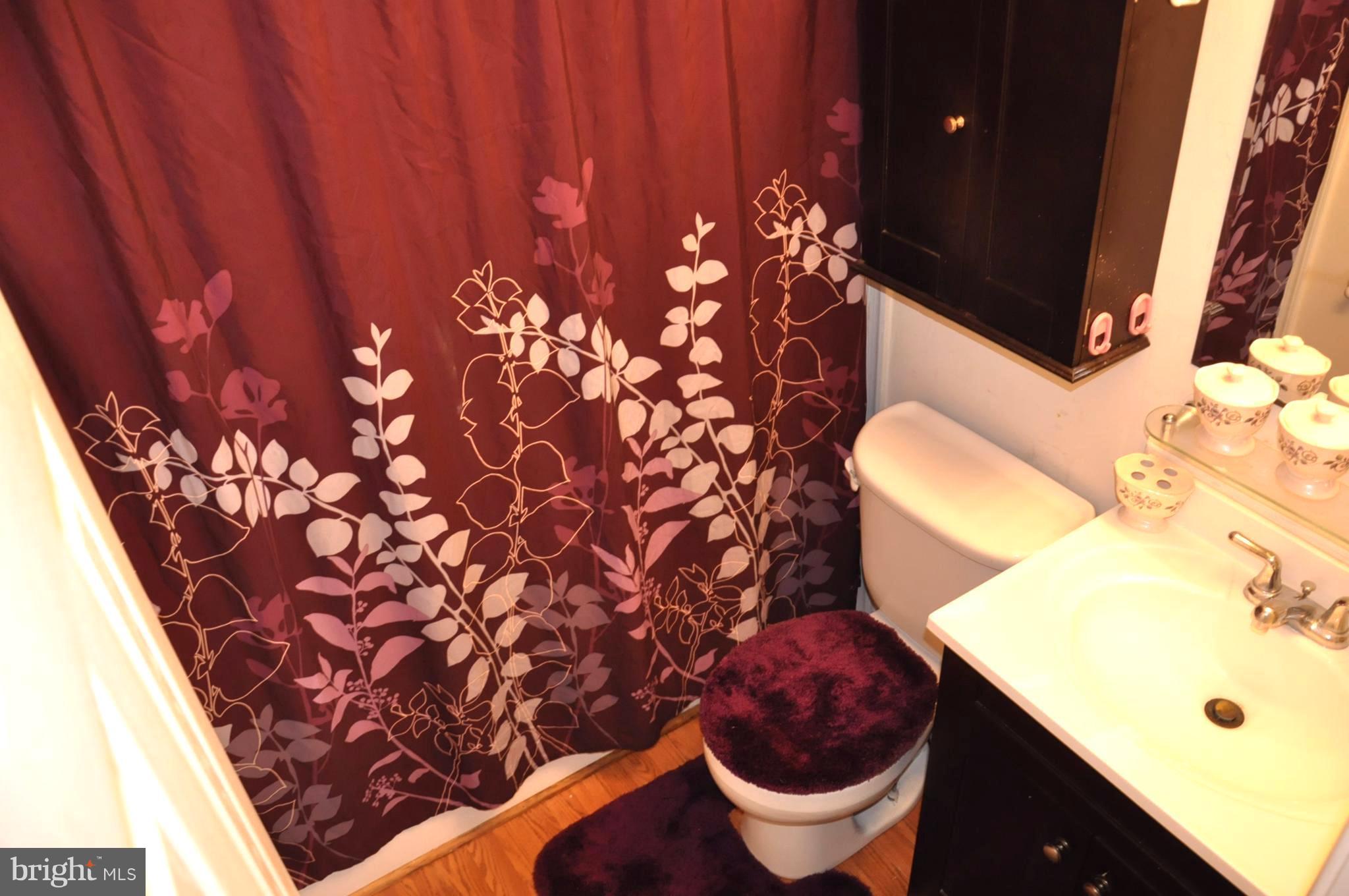 6662 Bucknell Road Bryans Road, MD 20616 - Photo 20 of 20 Bath (Master)