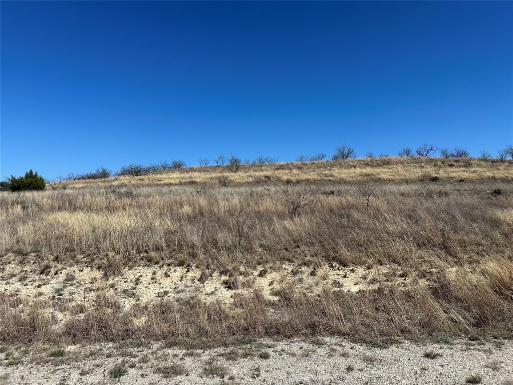 Lot 60 Comanche Lake Road Comanche, TX 76442 - Photo 2 of 6